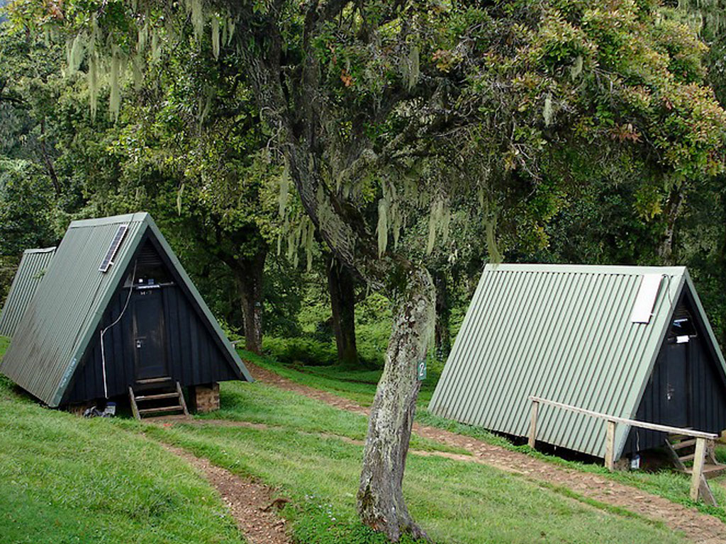 5 days marangu route