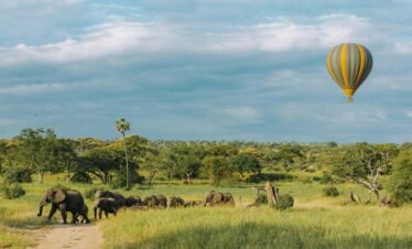 pexels tanzania wild sky 986912744 20179671