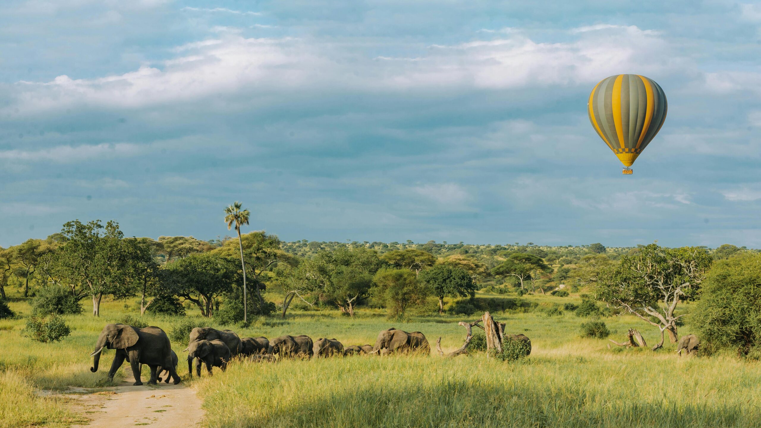 pexels tanzania wild sky 986912744 20179671