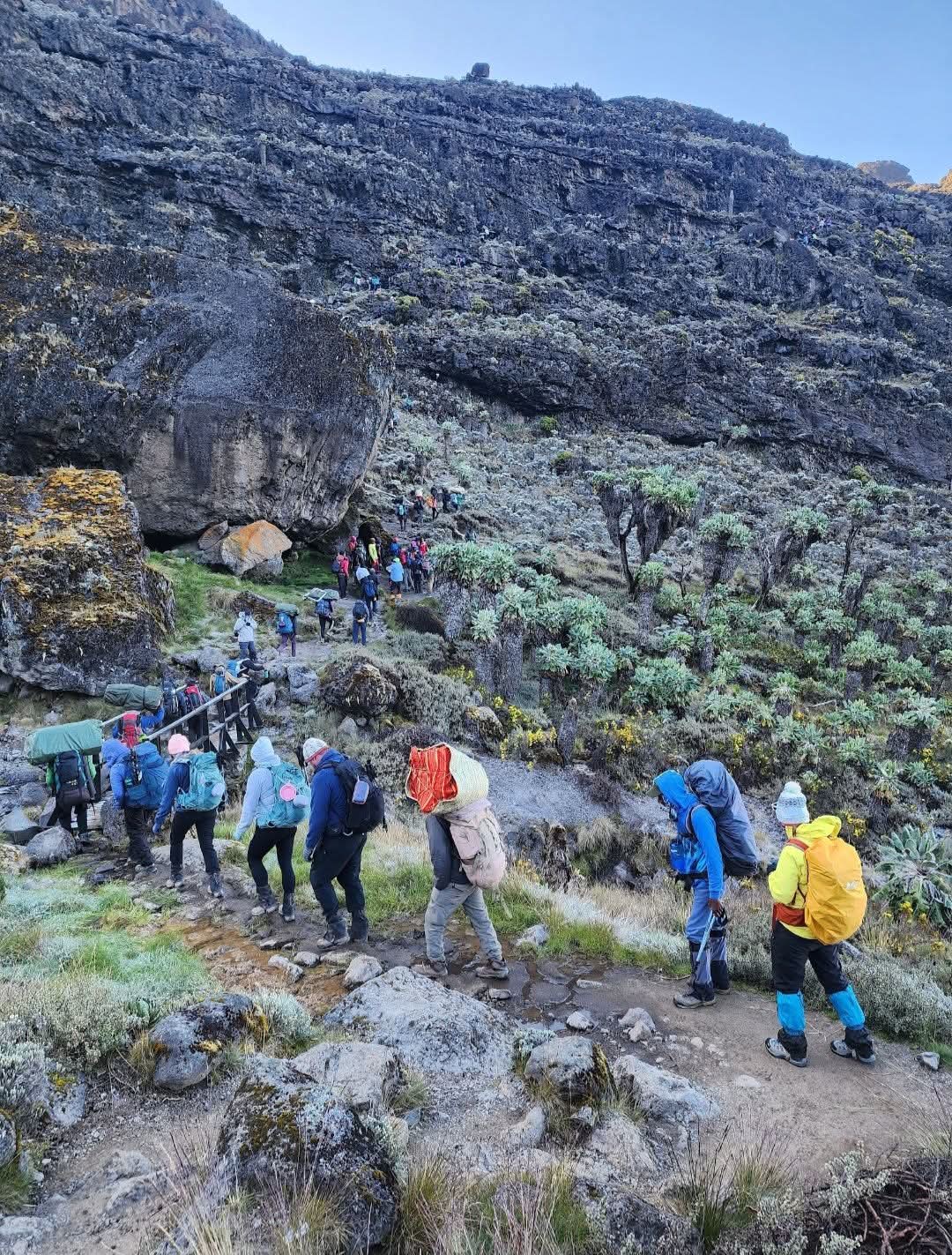 fb img 1769897992902