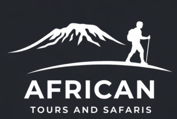 cropped file 00000000983c71fd91e8c8032ad0fdda.png