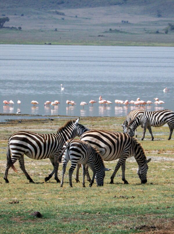 african hiking tours and safari