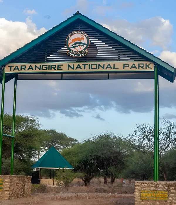 tarangire location (1)