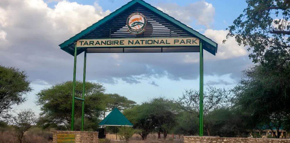 tarangire location (1)
