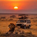 Which Tanzania Safari Is Best for You? Serengeti Safari