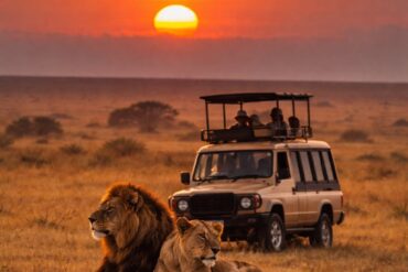 Travel Blogs Serengeti Safari