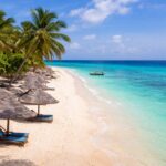 Which Tanzania Safari Is Best for You? 1000085694