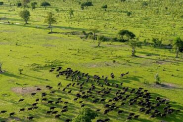 Travel Blogs Ngorongoro Creator Tours