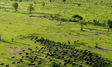Ngorongoro Creator Tours