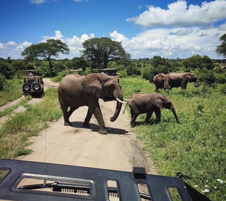 Tarangire