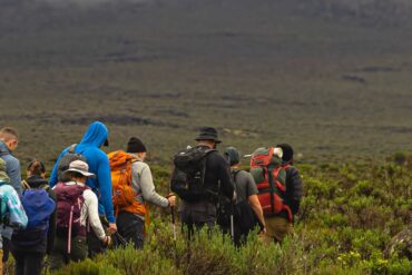 Travel Blogs 1000106031