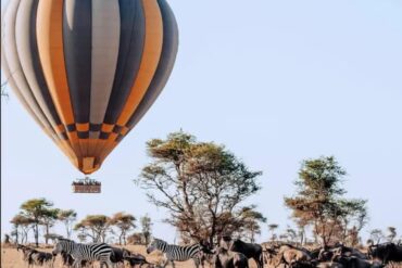 Travel Blogs 1000107493