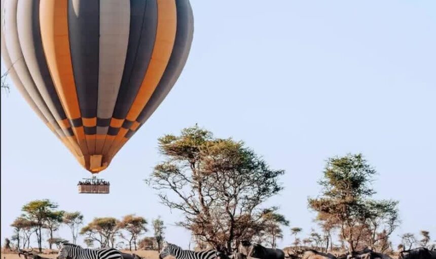How Much Does a Tanzania Safari Cost in 2026? How Much Does a Tanzania Safari Cost in 2026?