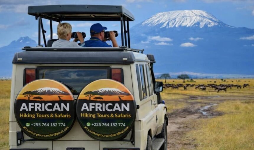 What Is the Best Tour Company for African Safari?