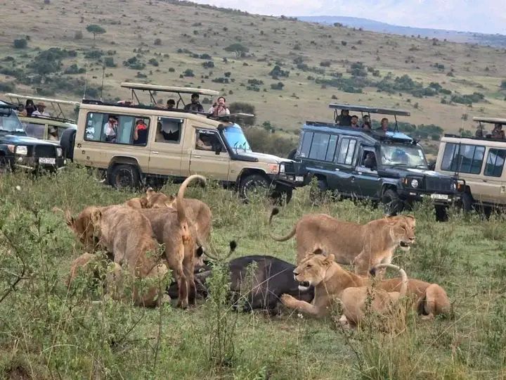 Serengeti National Park