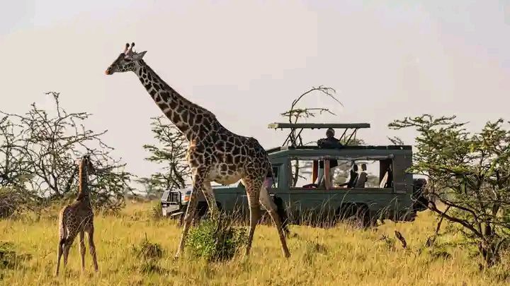 facebook tourtravelagency(jpg) 2