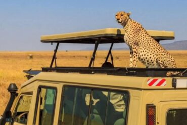 Travel Blogs 1000096516