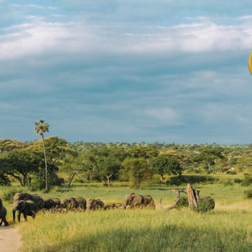 A serene safari scene with African elephants and a hot air balloon over a lush savannah.