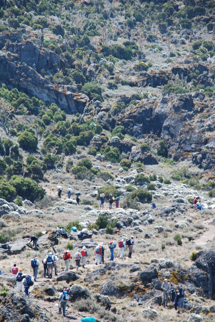 machame route day 2