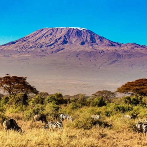 kilimanjaro, Serengeti National Park & Zanzibar