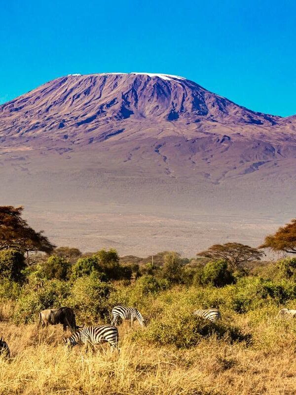 kilimanjaro, Serengeti National Park & Zanzibar