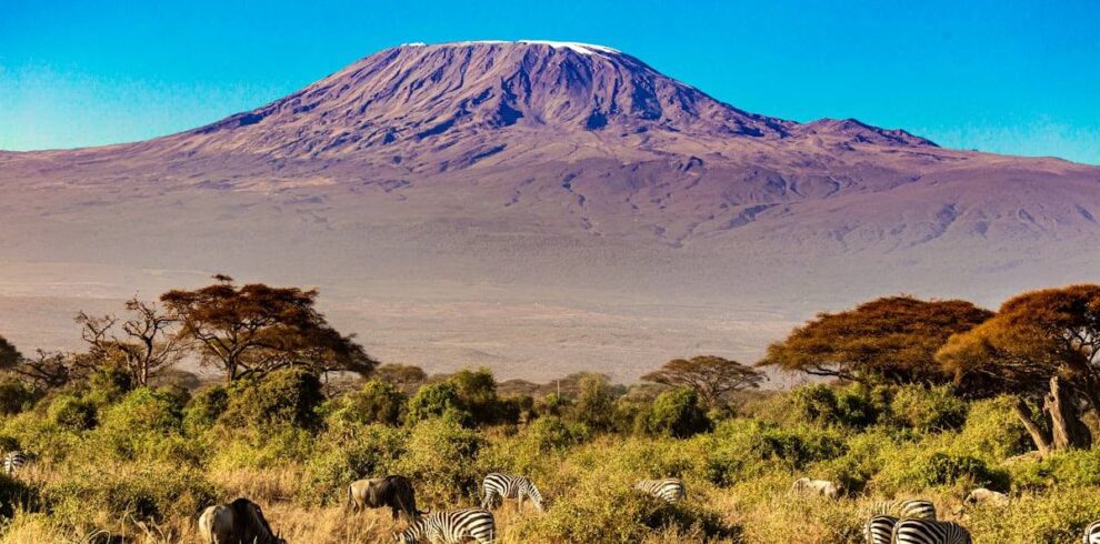kilimanjaro, Serengeti National Park & Zanzibar
