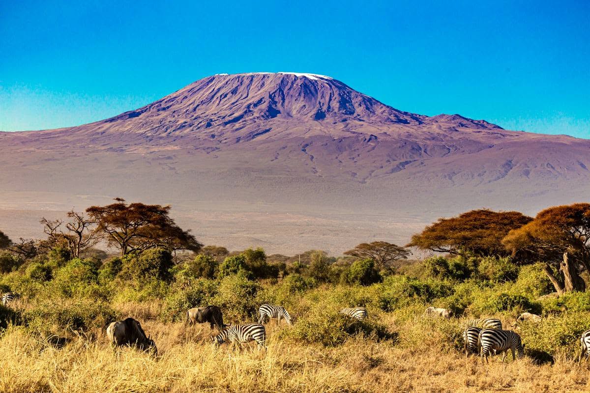 kilimanjaro, Serengeti National Park & Zanzibar