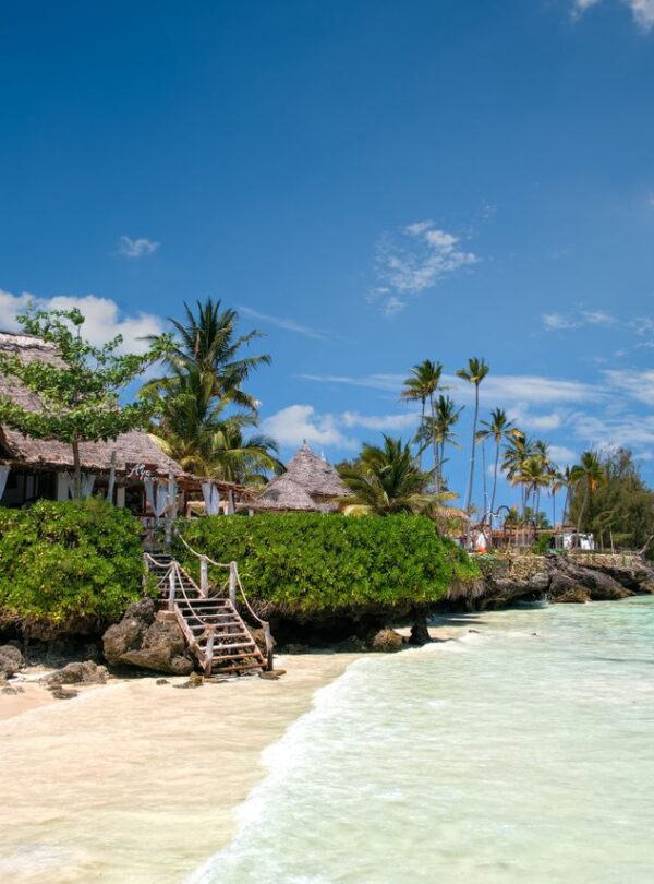 scene in Zanzibar with palm trees, turquoise sea, and a traditional villa.