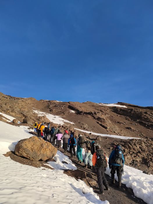 Kilimanjaro guides and porters supporting climbers